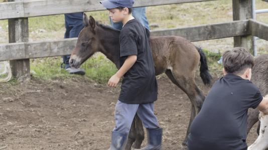 Rapa das bestas A Capelada Cedeira (Jorge Meis) (51)