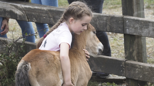 Rapa das bestas A Capelada Cedeira (Jorge Meis) (50)