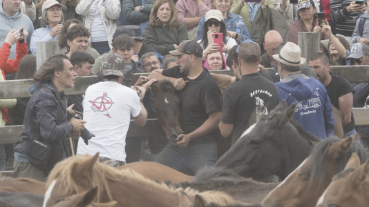 Rapa das bestas A Capelada Cedeira (Jorge Meis) (55)