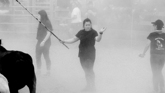 Rapa das bestas A Capelada Cedeira (Jorge Meis) (54)