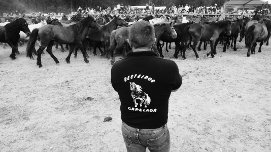 Rapa das bestas A Capelada Cedeira (Jorge Meis) (31)