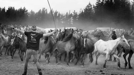 Rapa das bestas A Capelada Cedeira (Jorge Meis) (34)