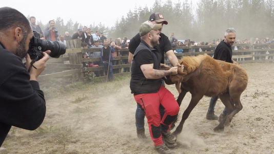 Rapa das bestas A Capelada Cedeira (Jorge Meis) (36)