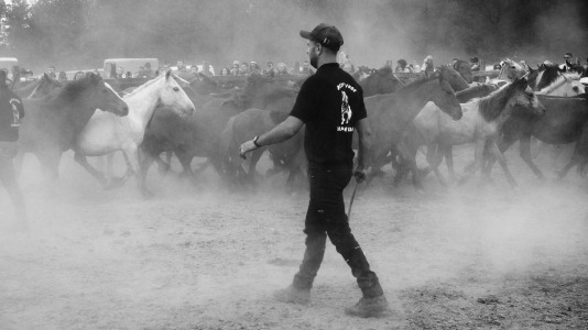 Rapa das bestas A Capelada Cedeira (Jorge Meis) (35)
