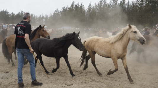 Rapa das bestas A Capelada Cedeira (Jorge Meis) (33)