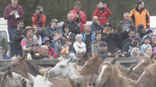 Rapa das bestas A Capelada Cedeira (Jorge Meis) (17)