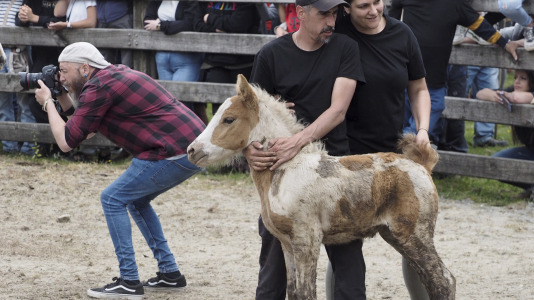 Rapa das bestas A Capelada Cedeira (Jorge Meis) (23)