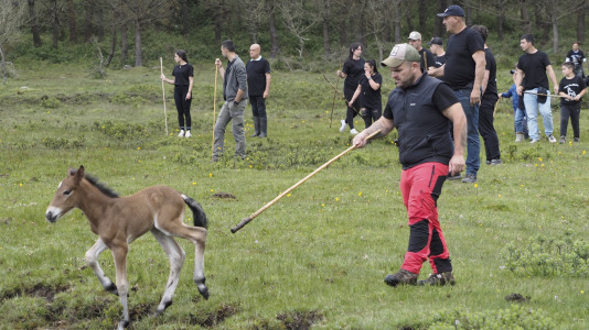 Rapa das bestas A Capelada Cedeira (Jorge Meis) (9)