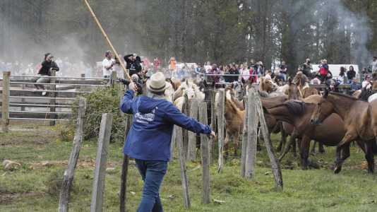 Rapa das bestas A Capelada Cedeira (Jorge Meis) (11)