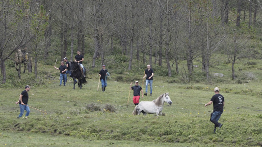 Rapa das bestas A Capelada Cedeira (Jorge Meis) (4)