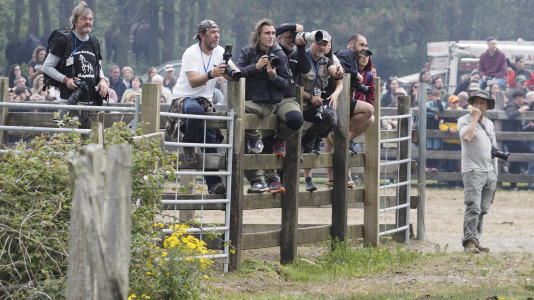 Rapa das bestas A Capelada Cedeira (Jorge Meis) (1)