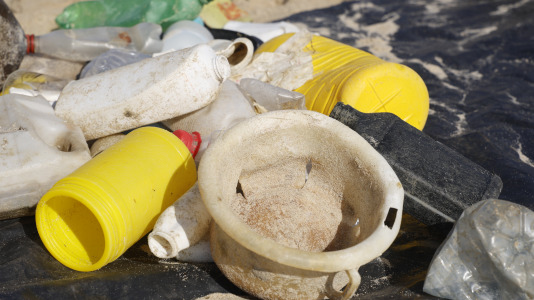 Limpieza playa de Doniños
