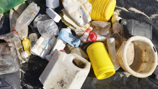 Limpieza playa de Doniños