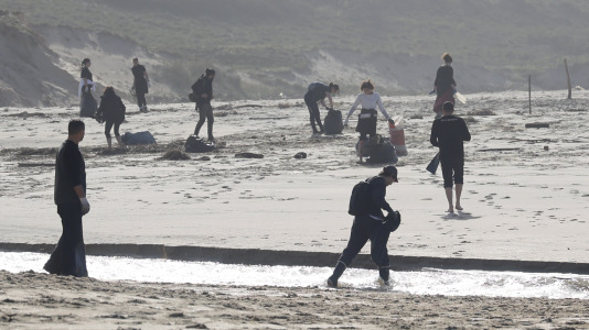 Limpieza playa de Doniños