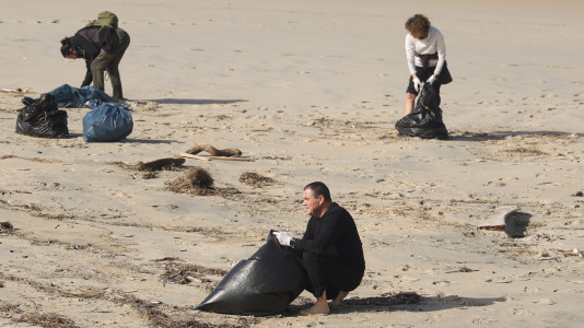Limpieza playa de Doniños