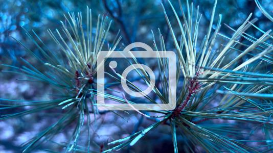 Concentración bomberos en Armas