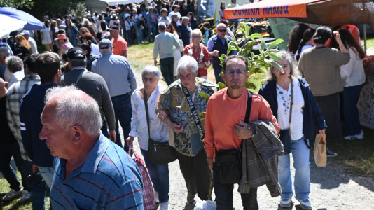 Feira plantación 2026