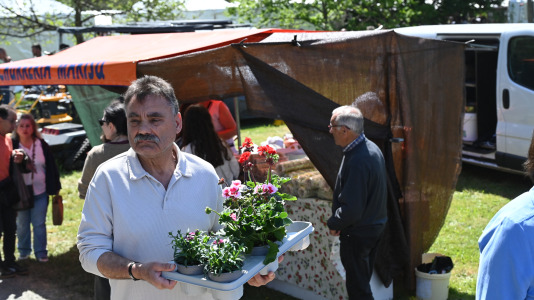 Feira plantación 2026