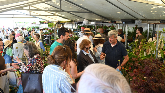 Feira plantación 2026
