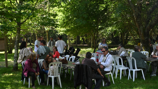 Feira plantación 2026