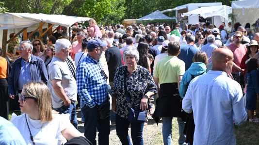 Feira plantación 2026