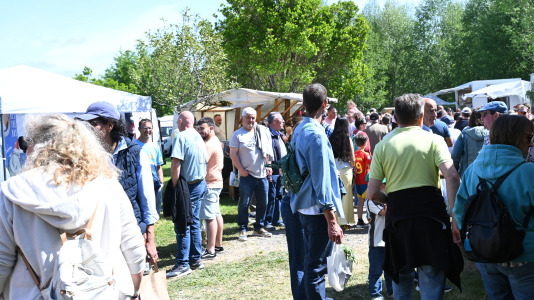 Feira plantación 2026