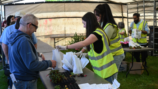 Feira plantación 2026