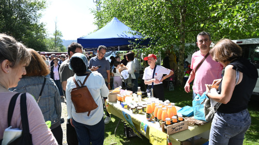 Feira plantación 2026