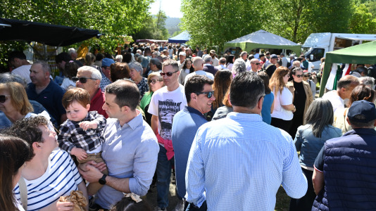 Feira plantación 2026
