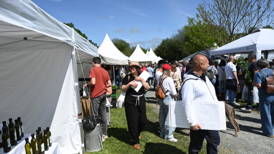 Feira plantación 2026