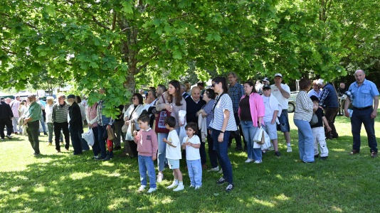 Feira plantación 2026