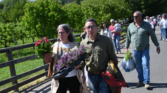 Feira plantación 2026