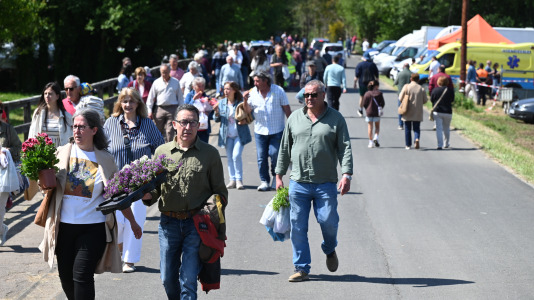 Feira plantación 2026