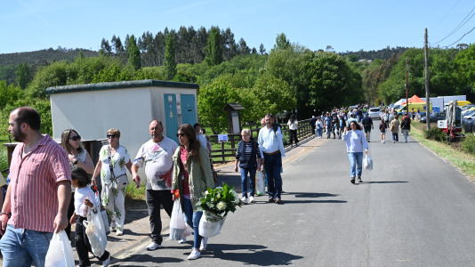 Feira plantación 2026