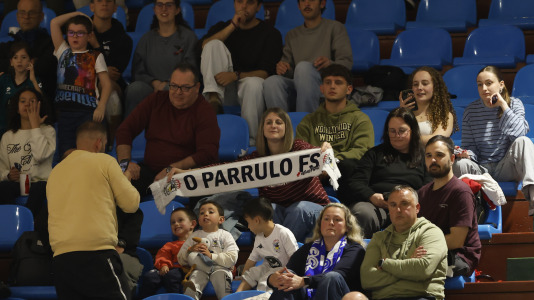 O Parrulo-Noia