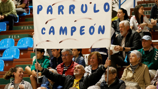 O Parrulo-Noia