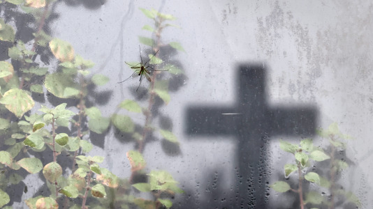 Cementerio de Santa Icía