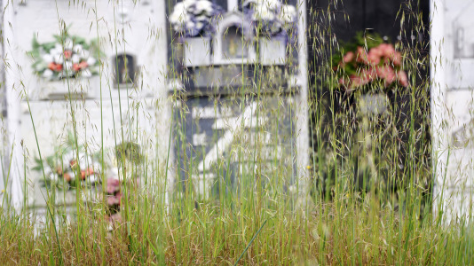 Cementerio de Santa Icía