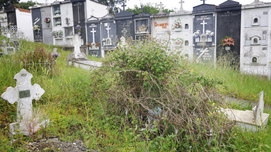Cementerio de Santa Icía