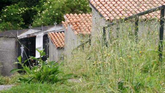 Cementerio de Santa Icía