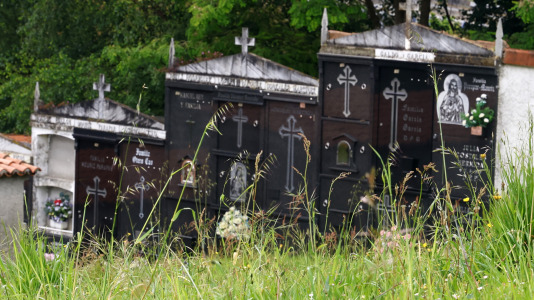 Cementerio de Santa Icía