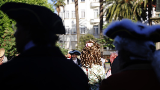 Ferrol Ilustrado