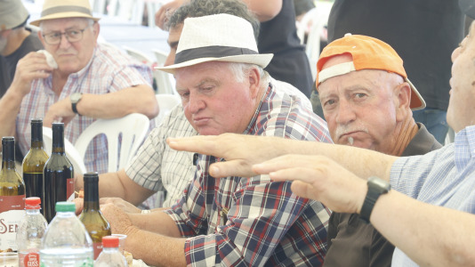 Rapa das Bestas  A Capelada Cedeira
