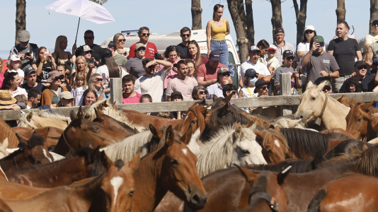 Rapa das Bestas  A Capelada Cedeira