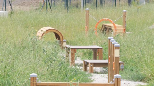 Parque Canino de Catabois