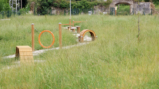 Parque Canino de Catabois