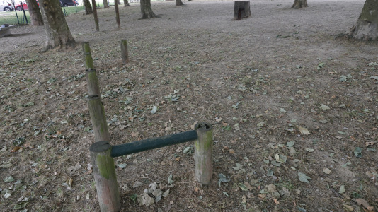 Parque Canino del Diapasón