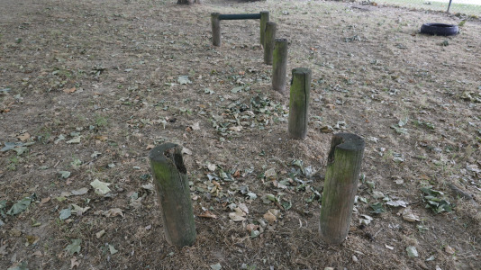 Parque Canino del Diapasón