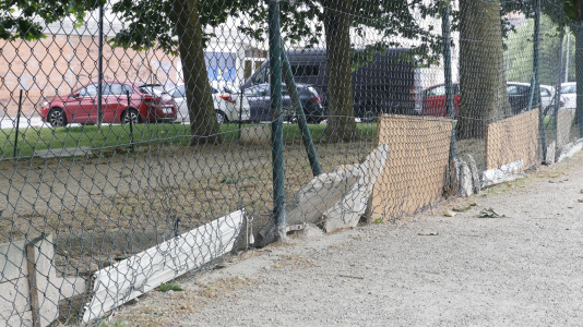 Parque Canino del Diapasón