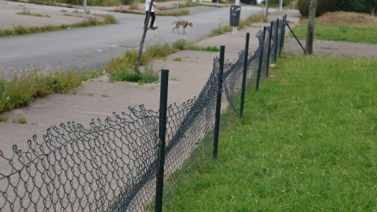 Parque Canino del Bertón